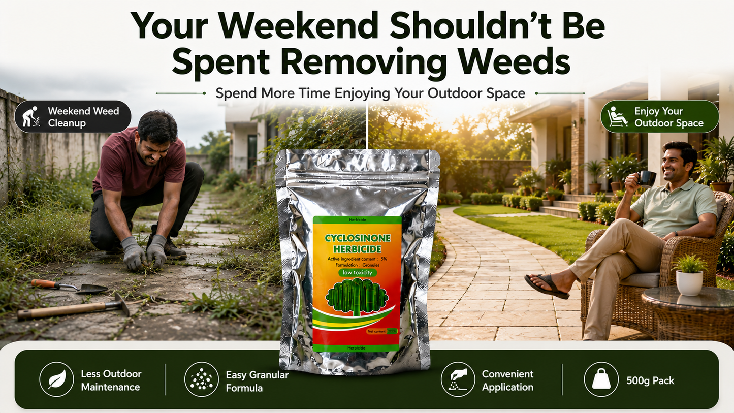 Cyclosinone Herbicide Granular Weed Killer – 500g Pack