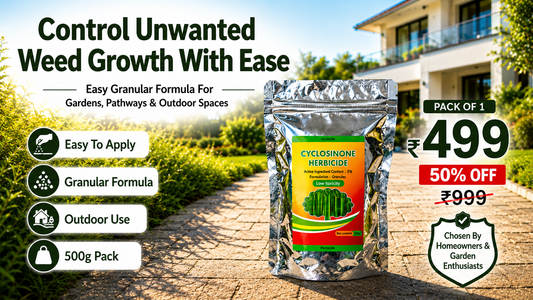 Cyclosinone Herbicide Granular Weed Killer – 500g Pack